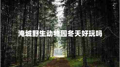 淹城野生動(dòng)物園冬天好玩嗎