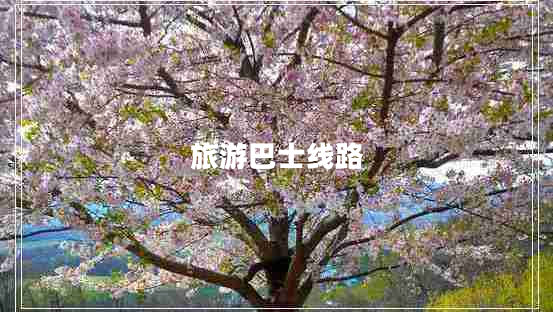 旅游巴士線路 旅游巴士線路