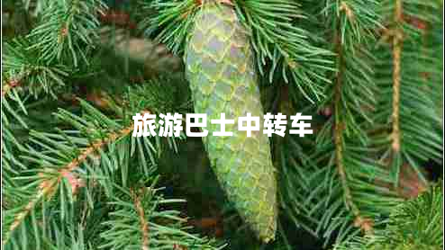 旅游巴士中轉(zhuǎn)車