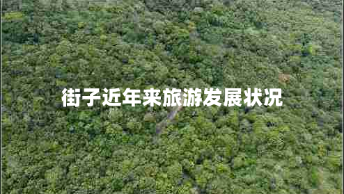 街子近年來(lái)旅游發(fā)展?fàn)顩r 街子近年來(lái)旅游發(fā)展?fàn)顩r