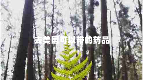 去美國可以帶的藥品