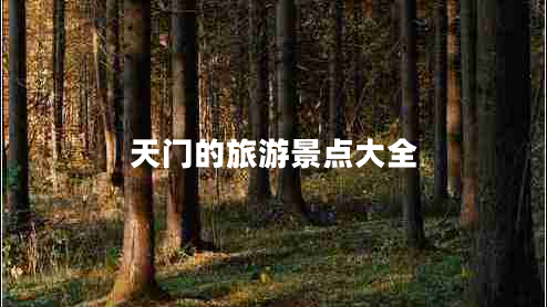 天門的旅游景點大全