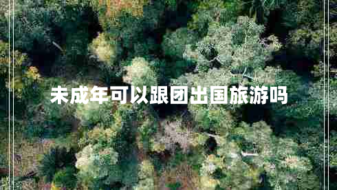 未成年可以跟團(tuán)出國(guó)旅游嗎