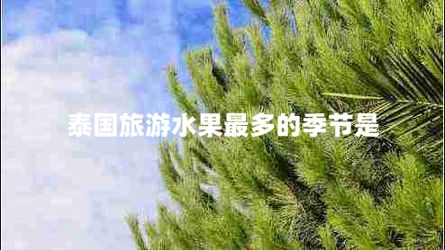 泰國旅游水果最多的季節(jié)是