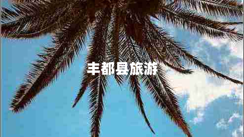 豐都縣旅游 豐都縣旅游