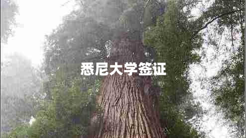 悉尼大學(xué)簽證