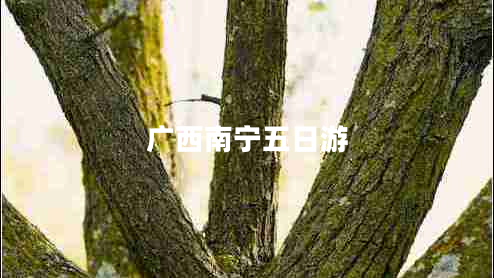 廣西南寧五日游