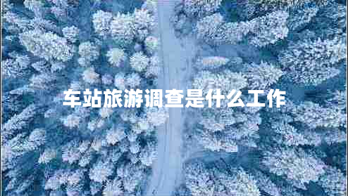 車站旅游調(diào)查是什么工作