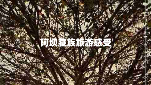 阿壩藏族旅游感受