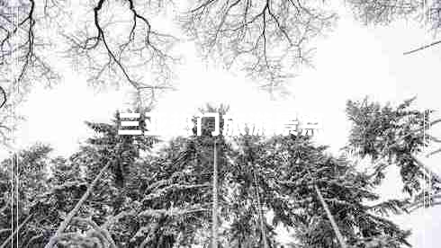 三亞熱門旅游景點(diǎn)