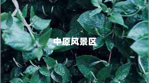 中原風(fēng)景區(qū)