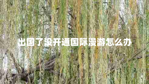 出國了沒開通國際漫游怎么辦