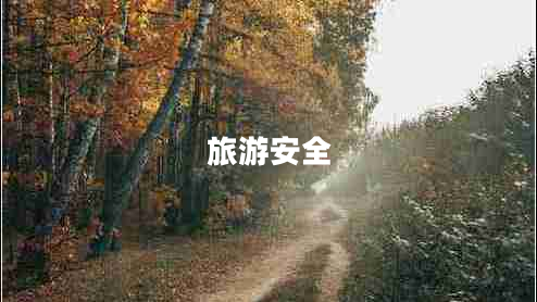 旅游安全 旅游安全