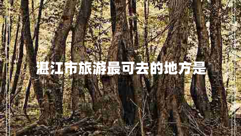 湛江市旅游最可去的地方是