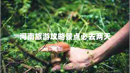 河南旅游攻略景點必去兩天 河南旅游攻略景點必去兩天