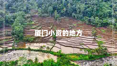 廈門小資的地方