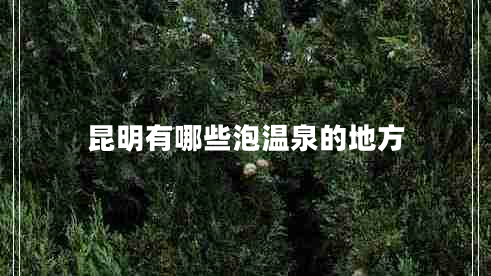昆明有哪些泡溫泉的地方 昆明有哪些泡溫泉的地方