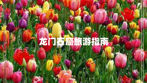 龍門石窟旅游指南