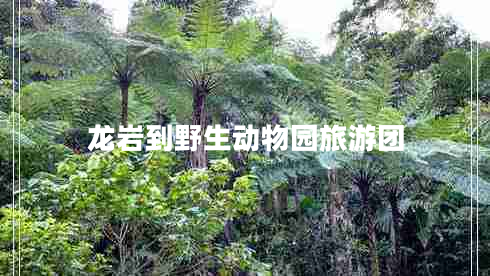 龍巖到野生動物園旅游團(tuán)