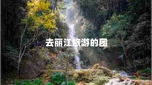 去麗江旅游的團(tuán)