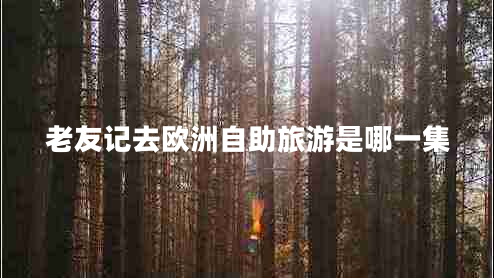 老友記去歐洲自助旅游是哪一集