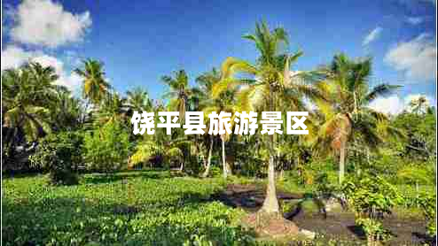 饒平縣旅游景區(qū)