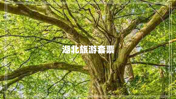 湖北旅游套票 湖北旅游套票