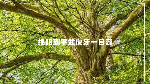 綿陽(yáng)到平武虎牙一日游 綿陽(yáng)到平武虎牙一日游
