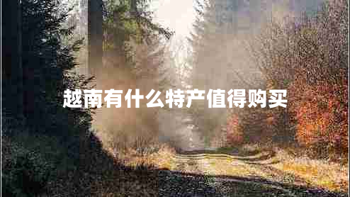 越南有什么特產(chǎn)值得購買