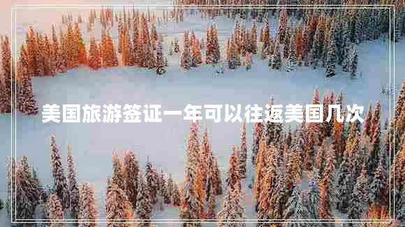 美國旅游簽證一年可以往返美國幾次