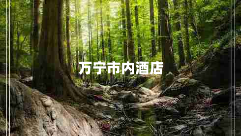 萬寧市內(nèi)酒店