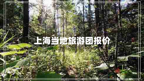 上海當?shù)芈糜螆F報價