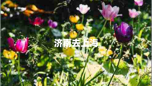 濟(jì)南去上海 濟(jì)南去上海