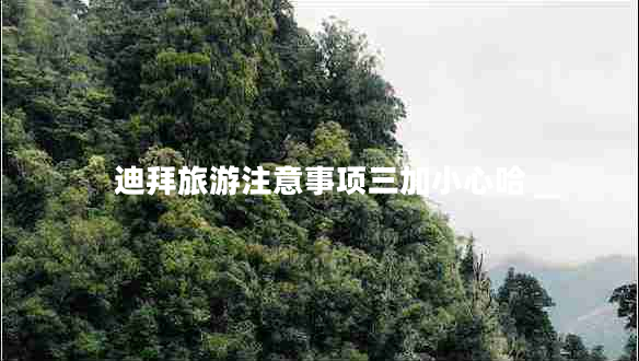 迪拜旅游注意事項三加小心哈