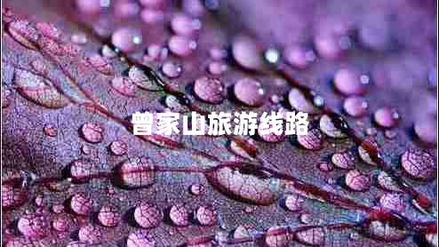 曾家山旅游線路