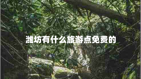 濰坊有什么旅游點免費的