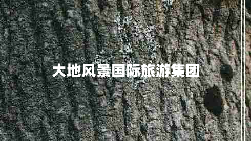 大地風(fēng)景國際旅游集團(tuán)