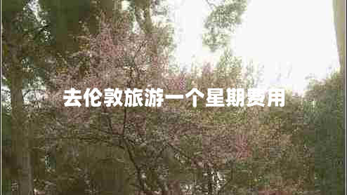 去倫敦旅游一個(gè)星期費(fèi)用