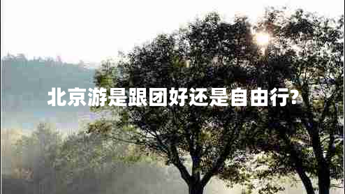 北京游是跟團(tuán)好還是自由行?