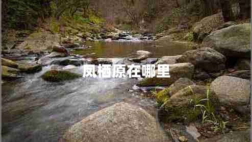 鳳棲原在哪里