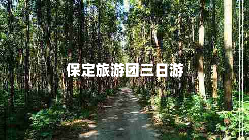 保定旅游團(tuán)三日游 保定旅游團(tuán)三日游