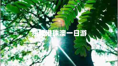 東莞港珠澳一日游 東莞港珠澳一日游