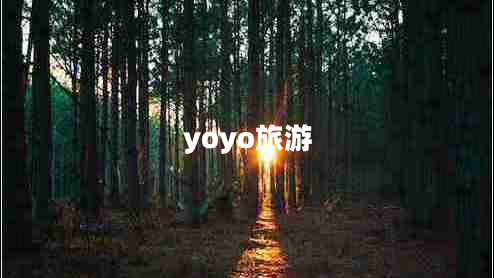 yoyo旅游