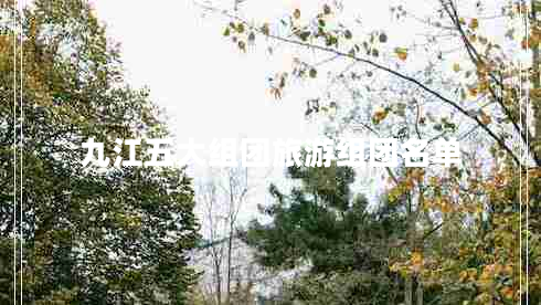 九江五大組團(tuán)旅游組團(tuán)名單