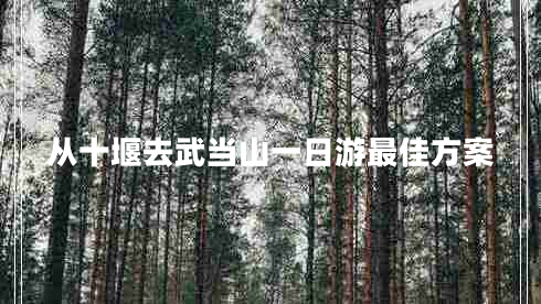 從十堰去武當(dāng)山一日游最佳方案