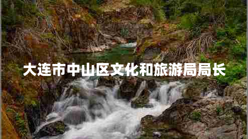 大連市中山區(qū)文化和旅游局局長