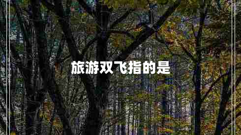 旅游雙飛指的是