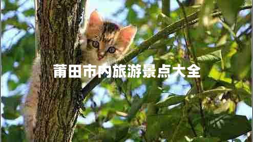 莆田市內旅游景點大全