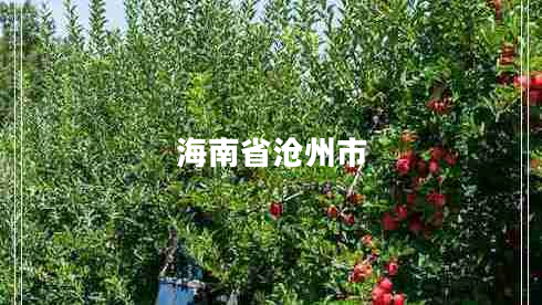 海南省滄州市 海南省滄州市