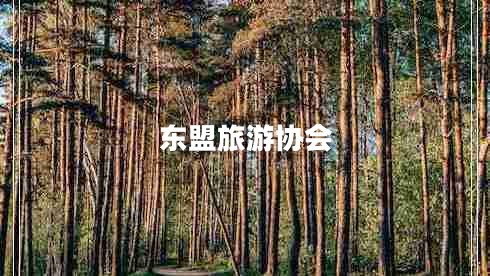 東盟旅游協(xié)會(huì)